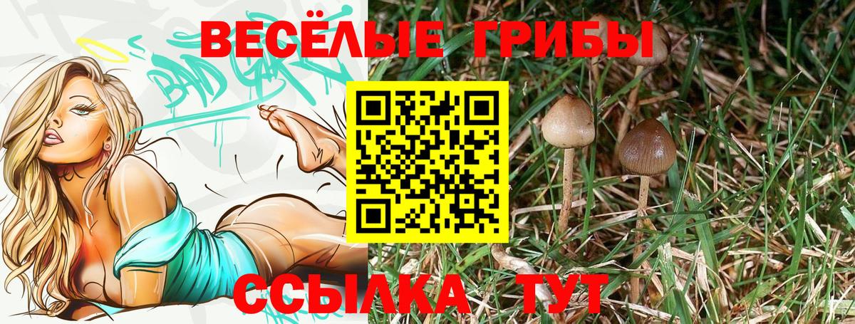 Россия  купить   Вход с VPN  Галлюциногенные грибы MAGIC MUSHROOMS 