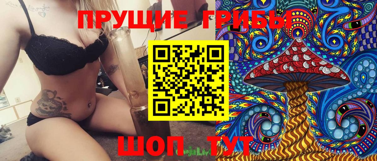 Псилоцибиновые грибы Cubensis Россия